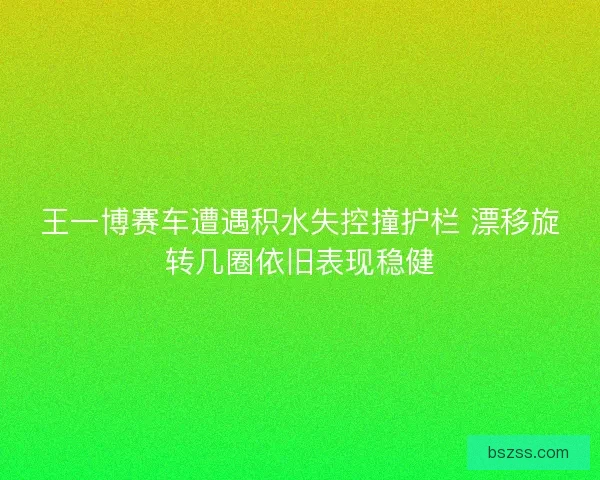 王一博赛车遭遇积水失控撞护栏 漂移旋转几圈依旧表现稳健